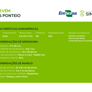 BRS PONTEIO